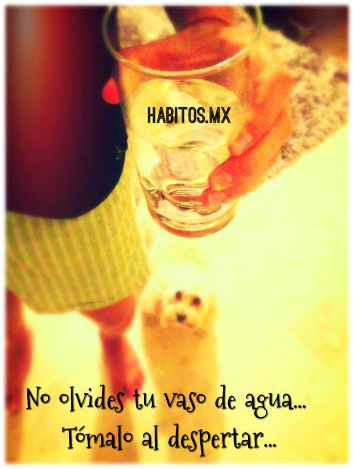vaso