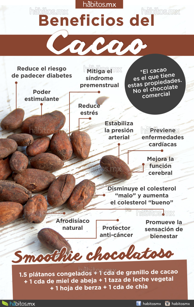 Los Beneficios Del Cacao En Nuestra Alimentacion Estos Beneficios The