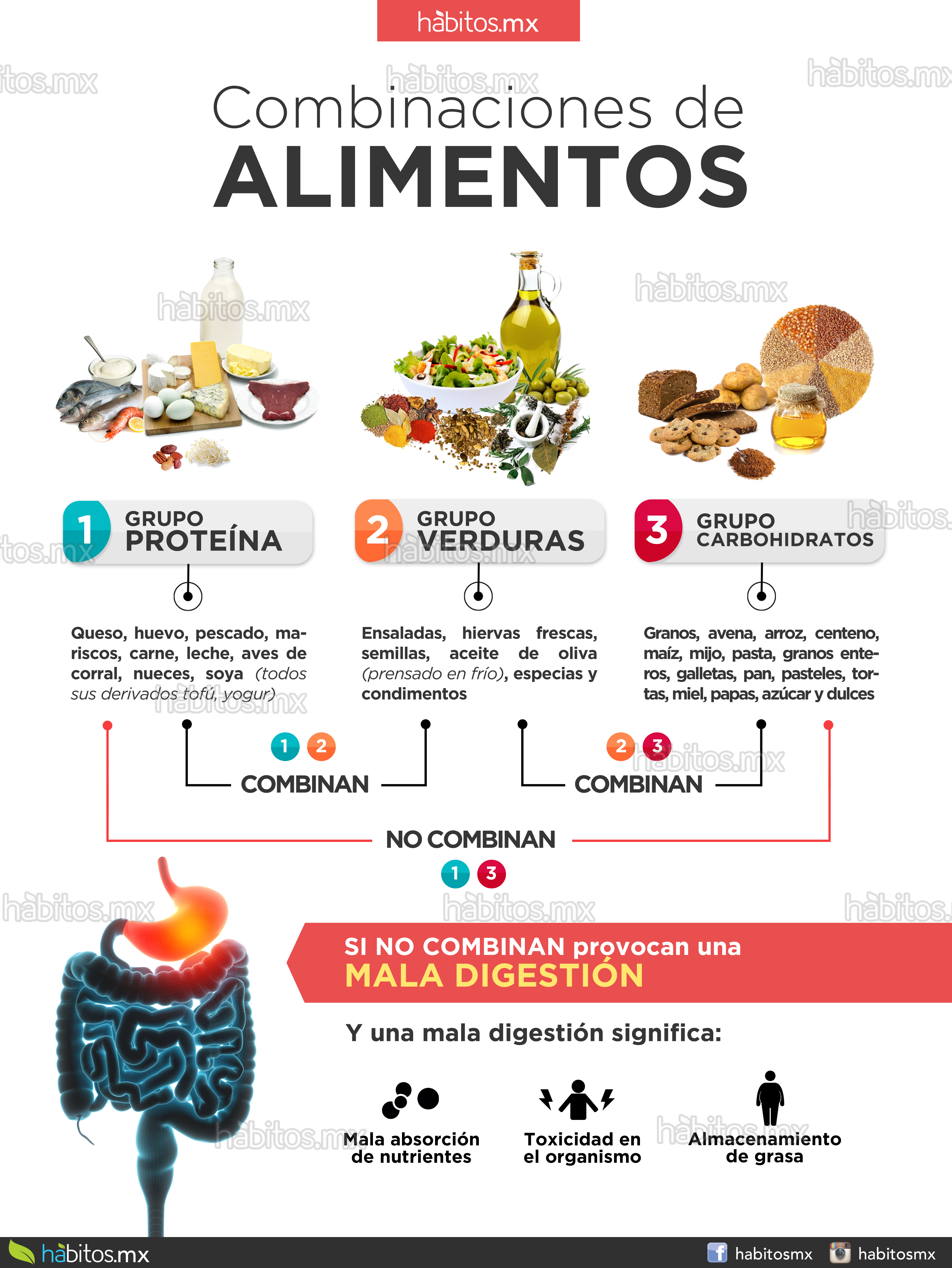 Combinacion De Alimentos - Lesbos Combinacion De Alimentos - Lesbos