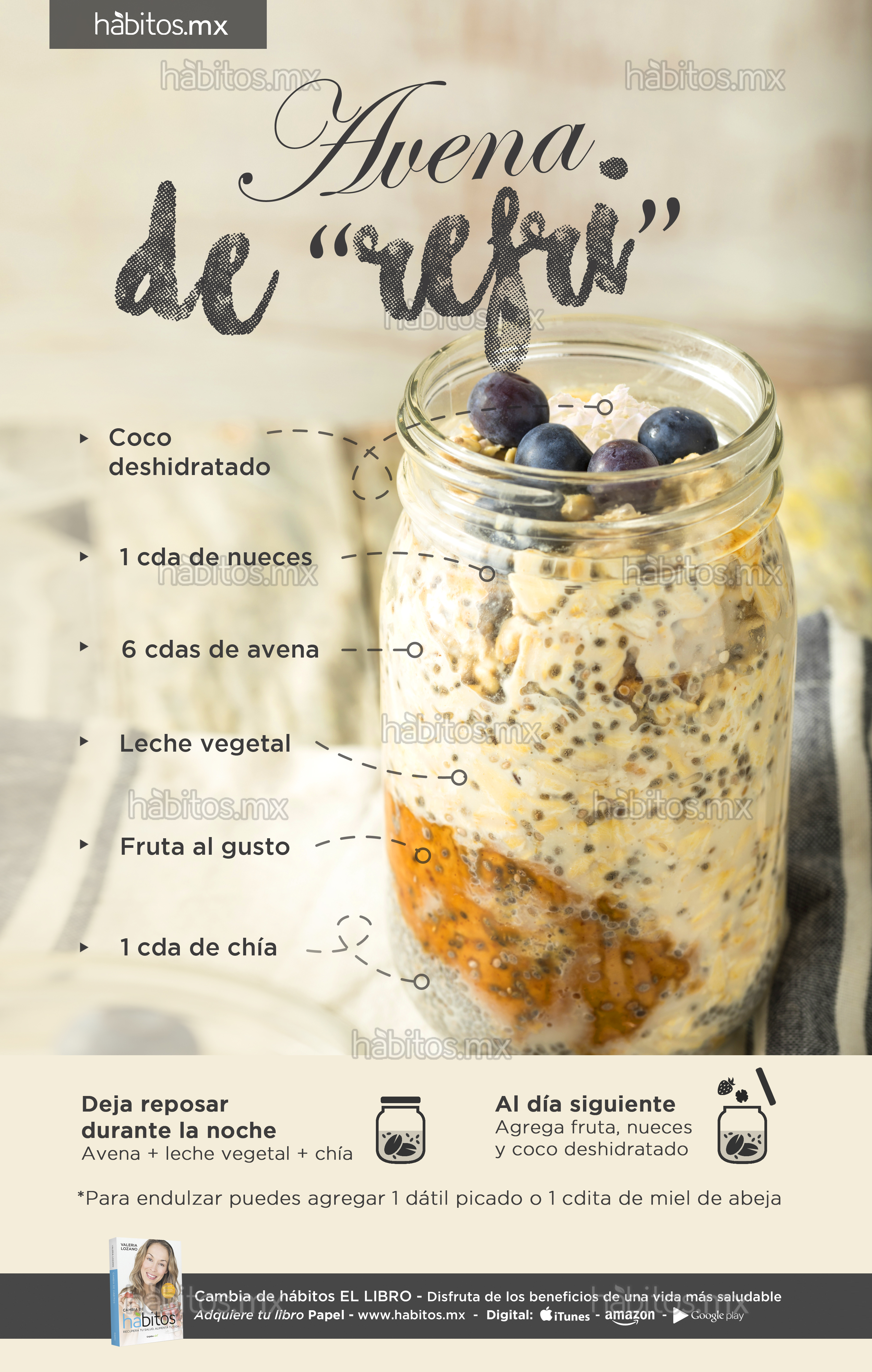 Healthy Homemade Overnight Oats Oatmeal