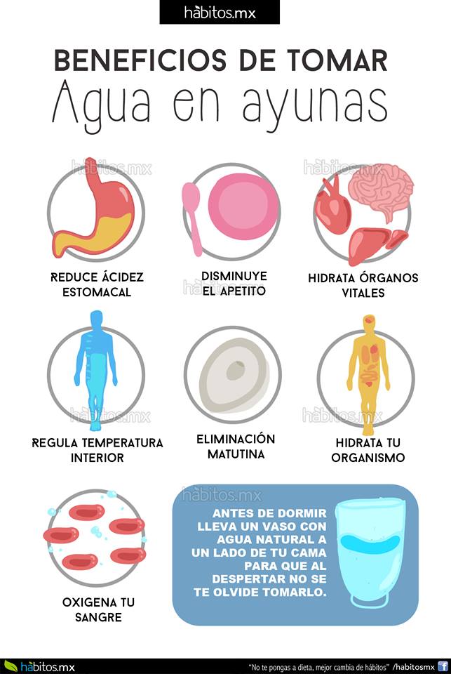 dieta para adelgazar 5 kilos ala semana dieta para adelgazar 5 kilos ala semana