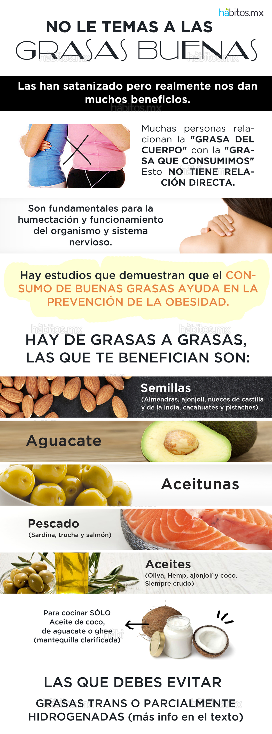 grasas buenas