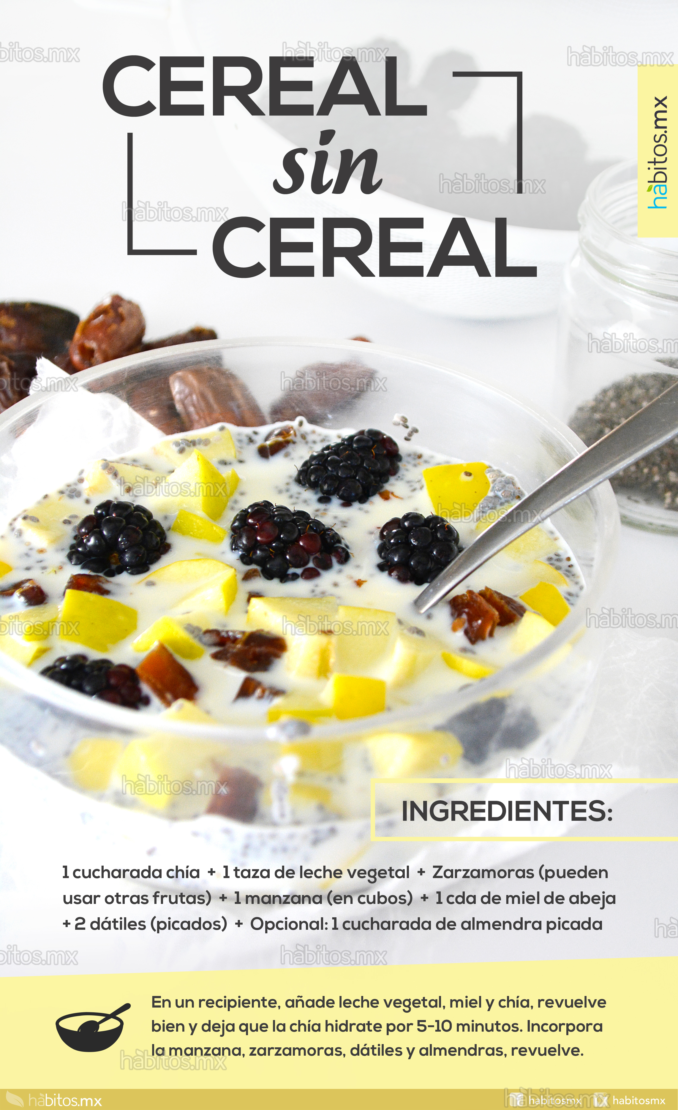 cereal sin cereal