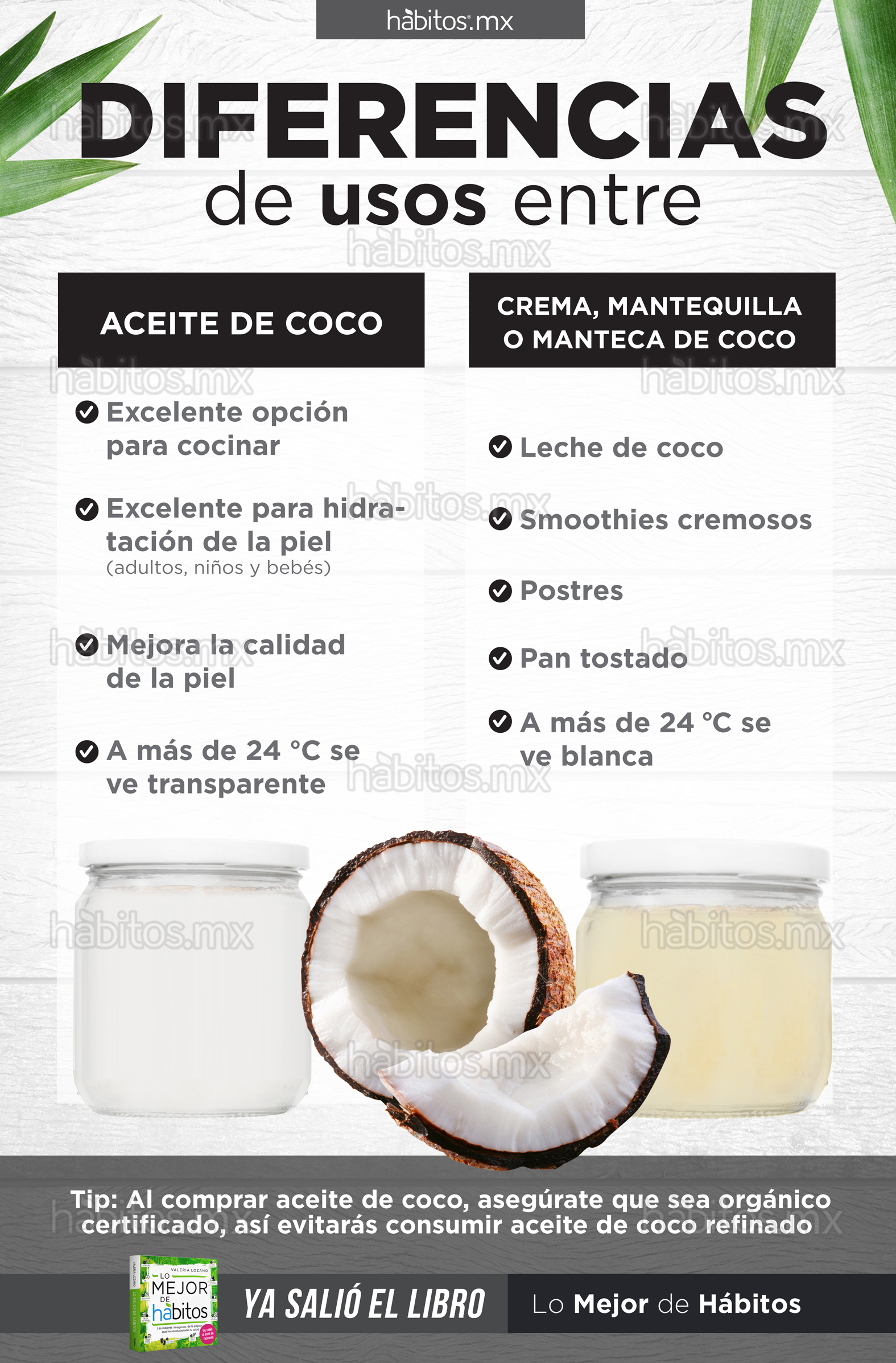 Diferencias De Usos Entre Aceite Y Crema De Coco Hábitos Health Coaching