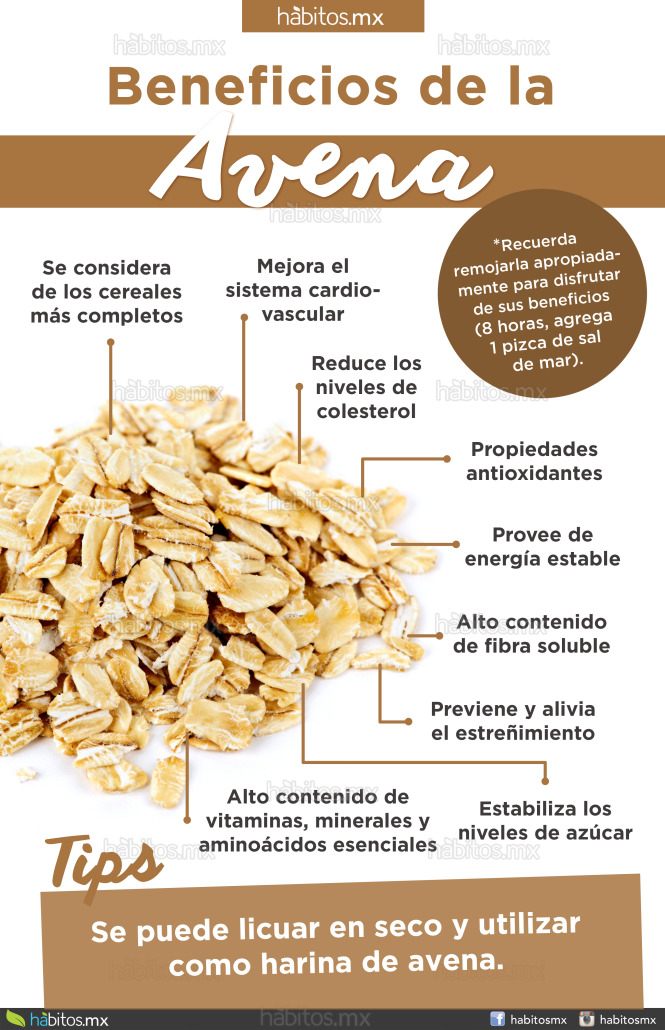 Beneficios De La Avena Beneficios De Alimentos Beneficios De La Avena ...