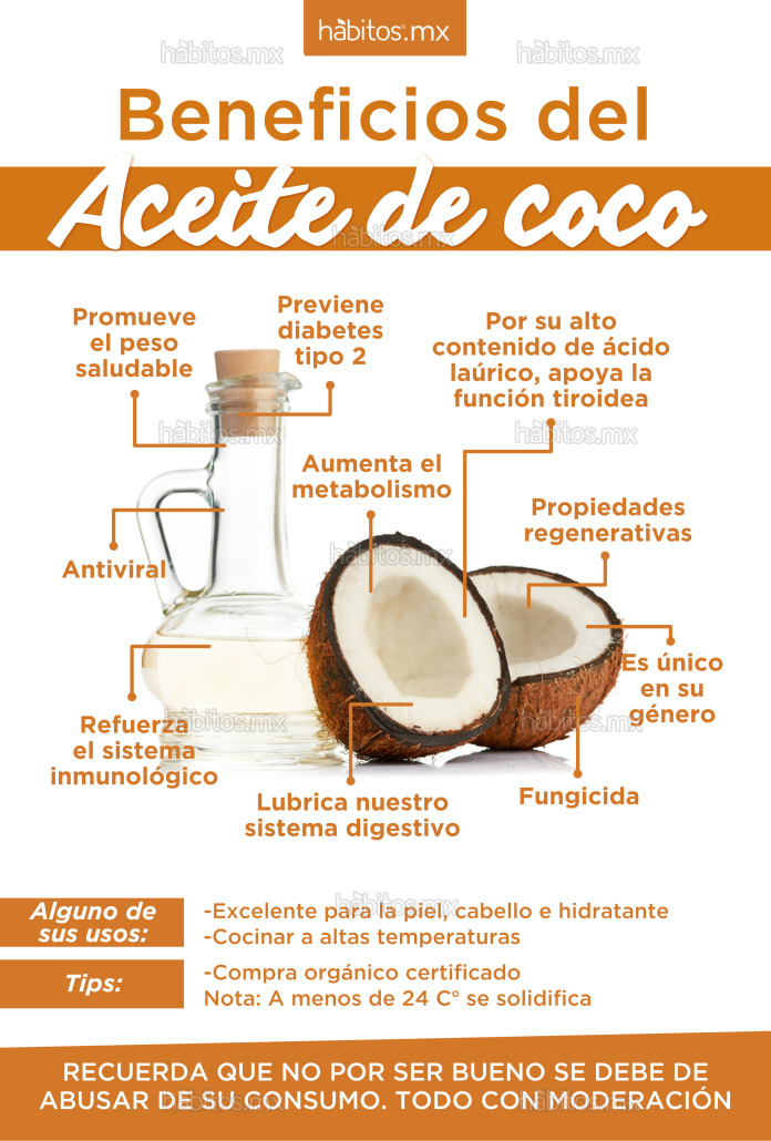 Aceite de Coco: Beneficios y Usos