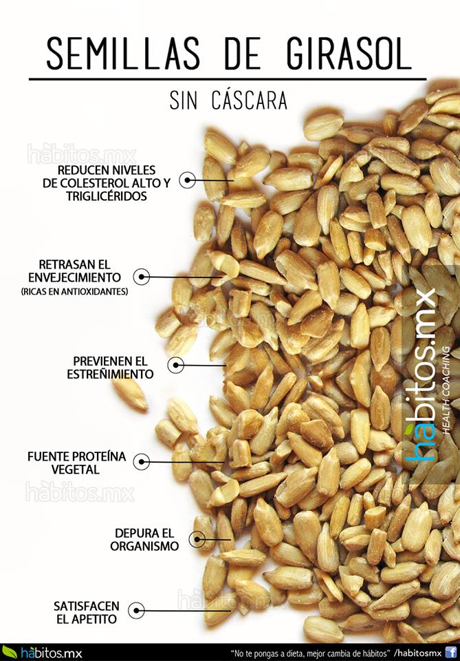 Top 94+ imagen para que sirve la semilla de girasol sin cascara